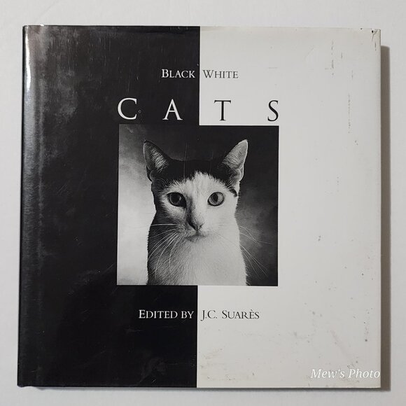 Black & White Cats Hardcover – January 1, 1992 - Picture 1 of 9